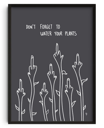 Water your plants